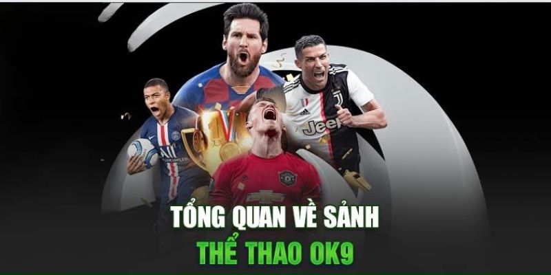 Các đặc điểm chi tiết về sảnh thể thao tại OK9